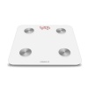 UMAX Smart Scale US20M